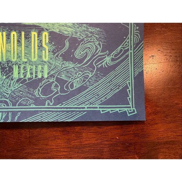 Dave Matthews & Tim Reynolds Riviera Maya Cancun Mexico Poster 1/25/25 Danger - Picture 4 of 5